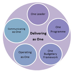 The Delivering as One structure