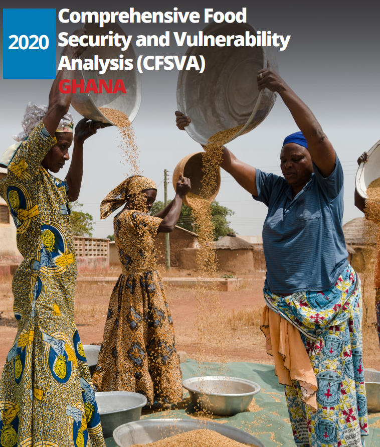 2020 Comprehensive Food Security and Vulnerability Analysis findings 