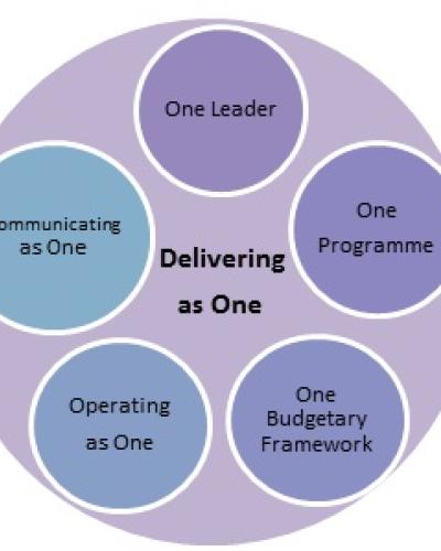 The Delivering as One structure