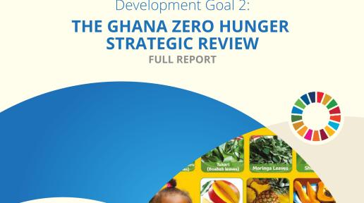 The Ghana Zero Hunger Strategic Review report cover page