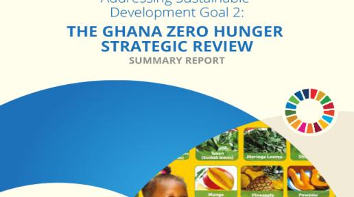 Addressing Sustainable Development Goal 2: The Ghana Zero Hunger Strategic Review Report - SUMMARY REPORT cover page