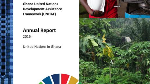 UNDAF Annual Report 2016 cover page